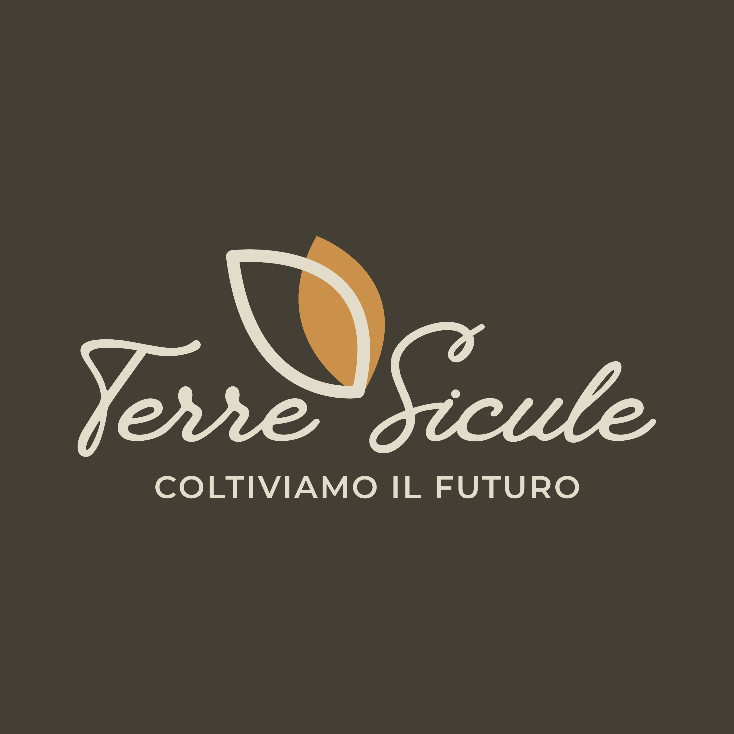 Terre Sicule